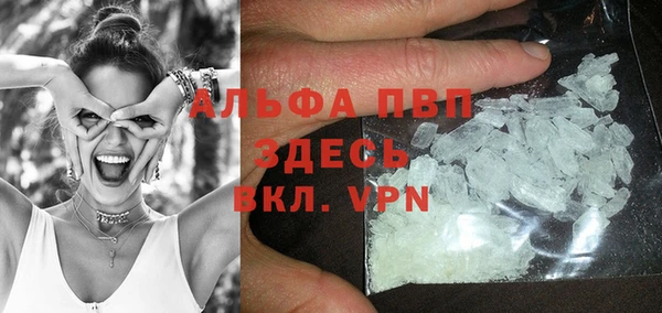 амф Ельня