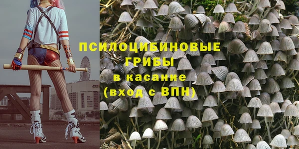 каннабис Аркадак