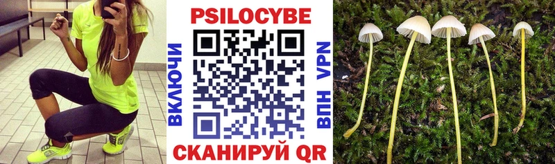 Галлюциногенные грибы Cubensis  гидра рабочий сайт  дарк нет клад  Магас 